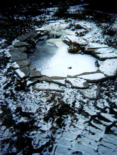 The pond on a frozen morning