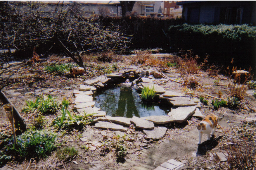 spring03pondfiona.jpg