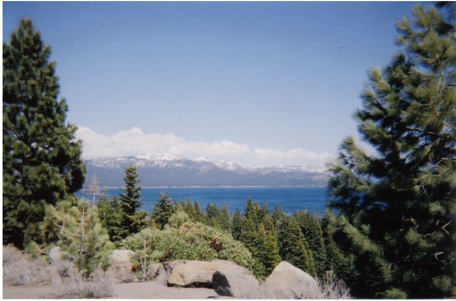 Go to the Lake Tahoe Visitors Bureau