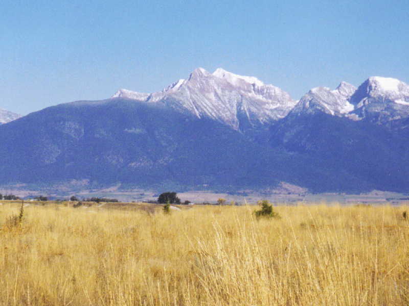 National Bison Range, Flathead Indian Res., near Missoula, Montana, Sept. 2000